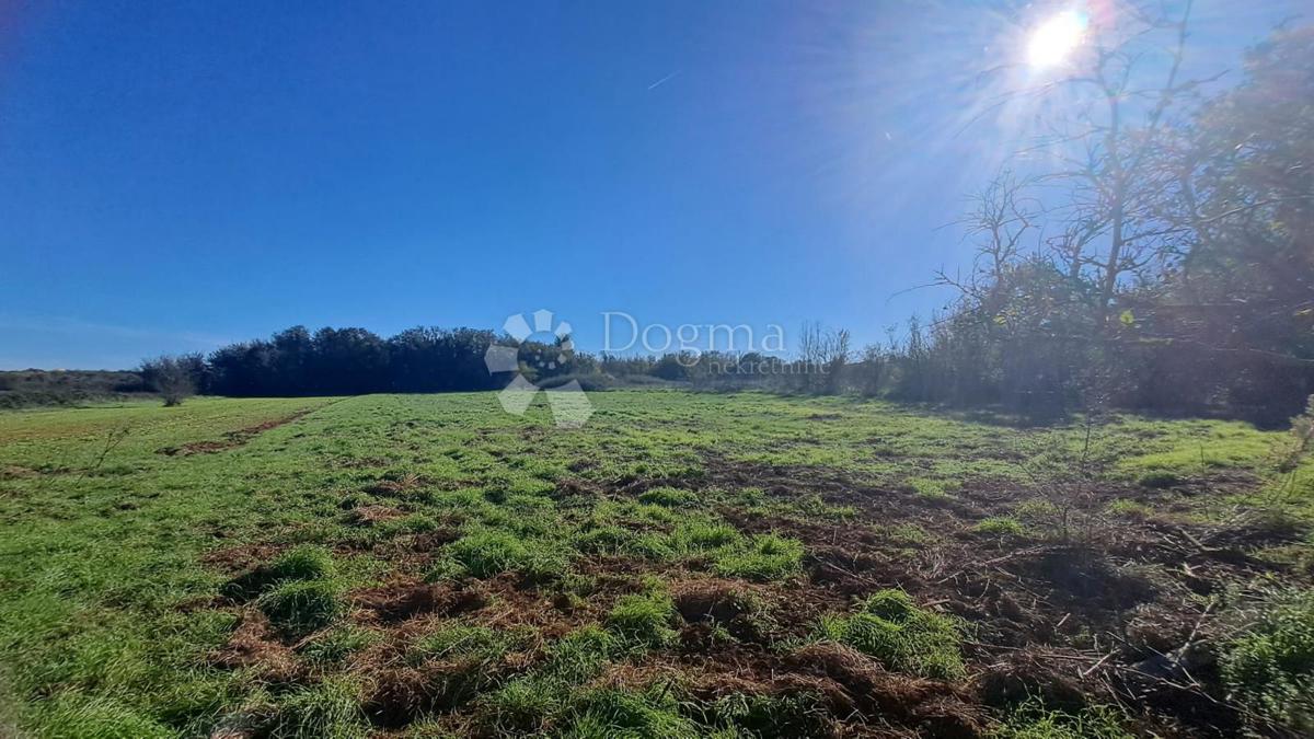 Terreno agricolo Valdebek
