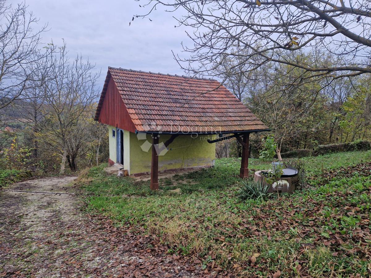 Terreno Donji Škrnik, Kumrovec, 27.000m2