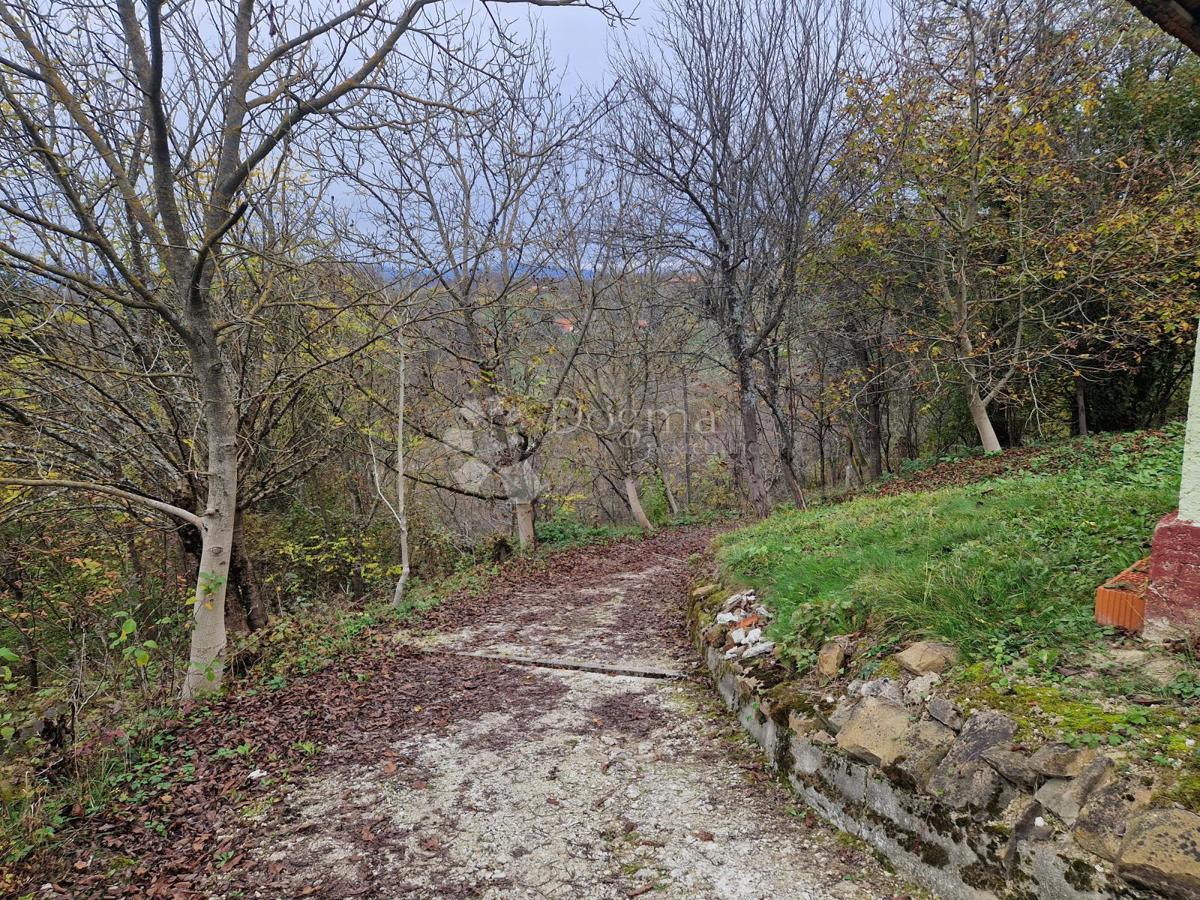 Terreno Donji Škrnik, Kumrovec, 27.000m2