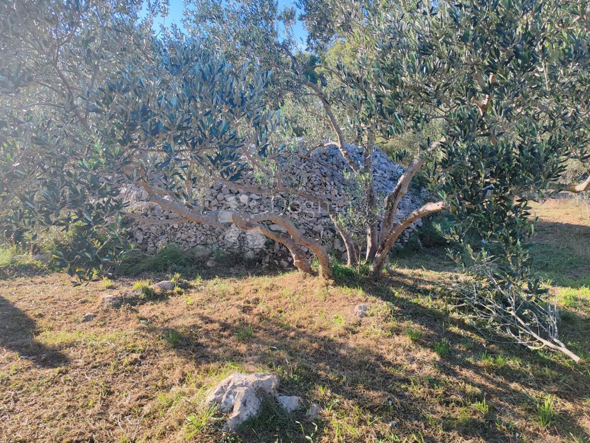 Terreno Zablaće, Šibenik - Okolica, 1.545m2