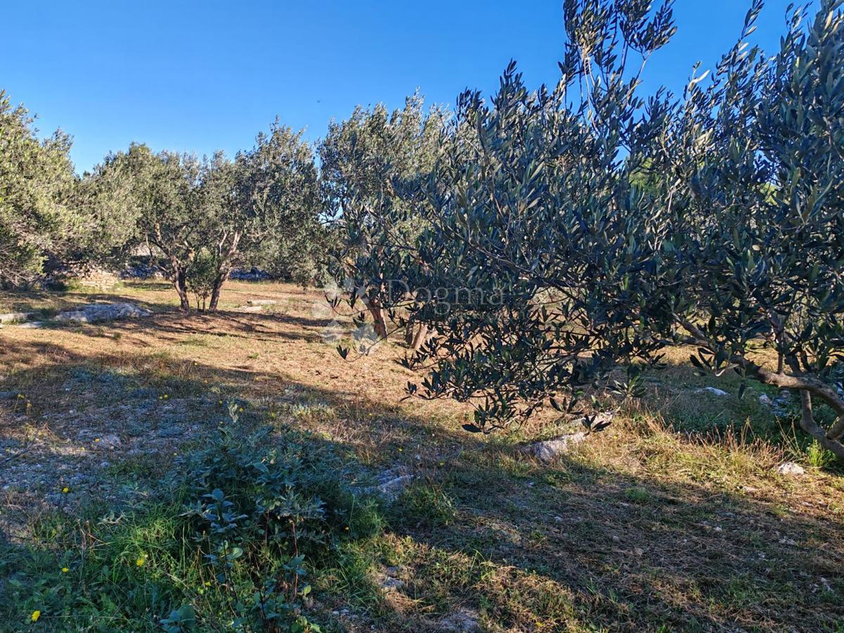 Terreno Zablaće, Šibenik - Okolica, 1.545m2