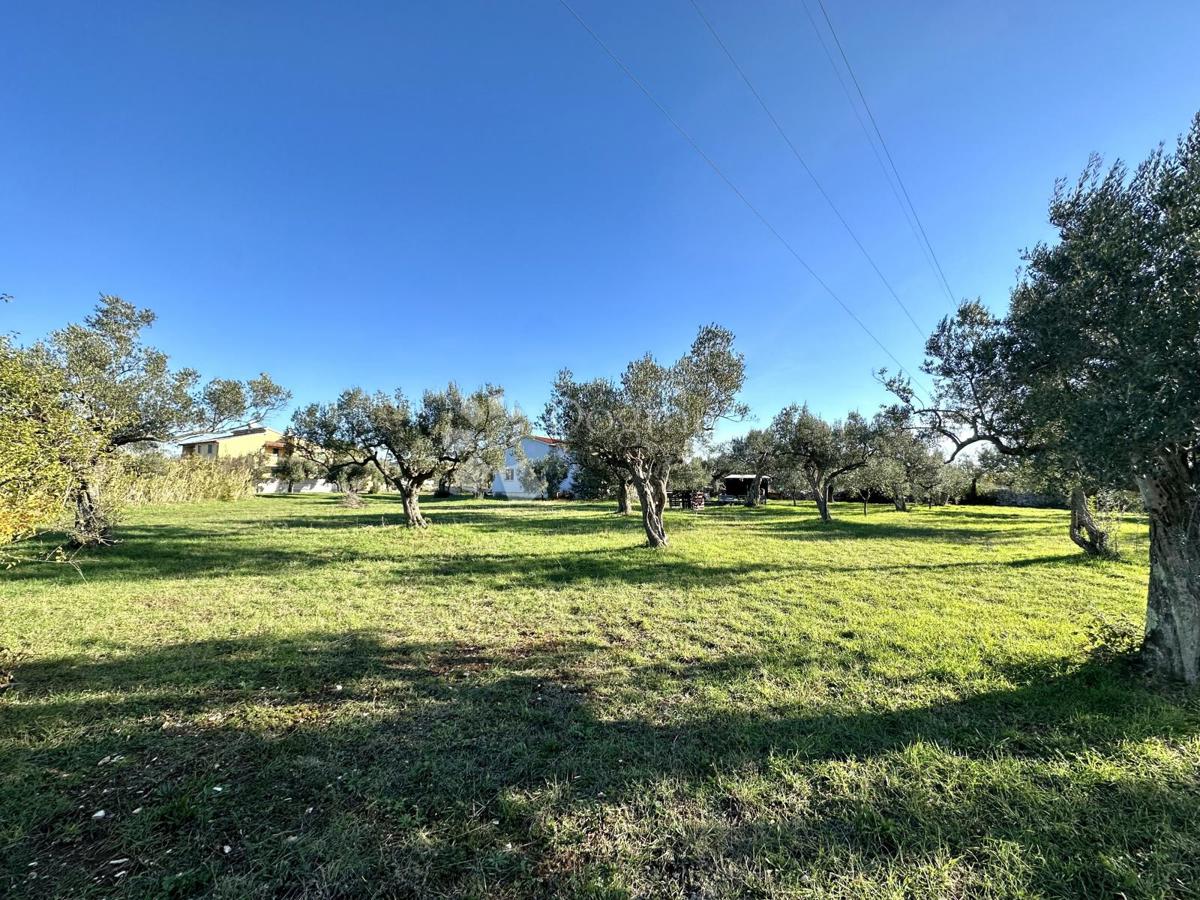 Terreno Galižana, Vodnjan, 3.567m2