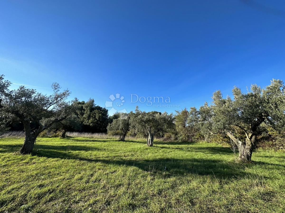 Terreno Galižana, Vodnjan, 3.567m2