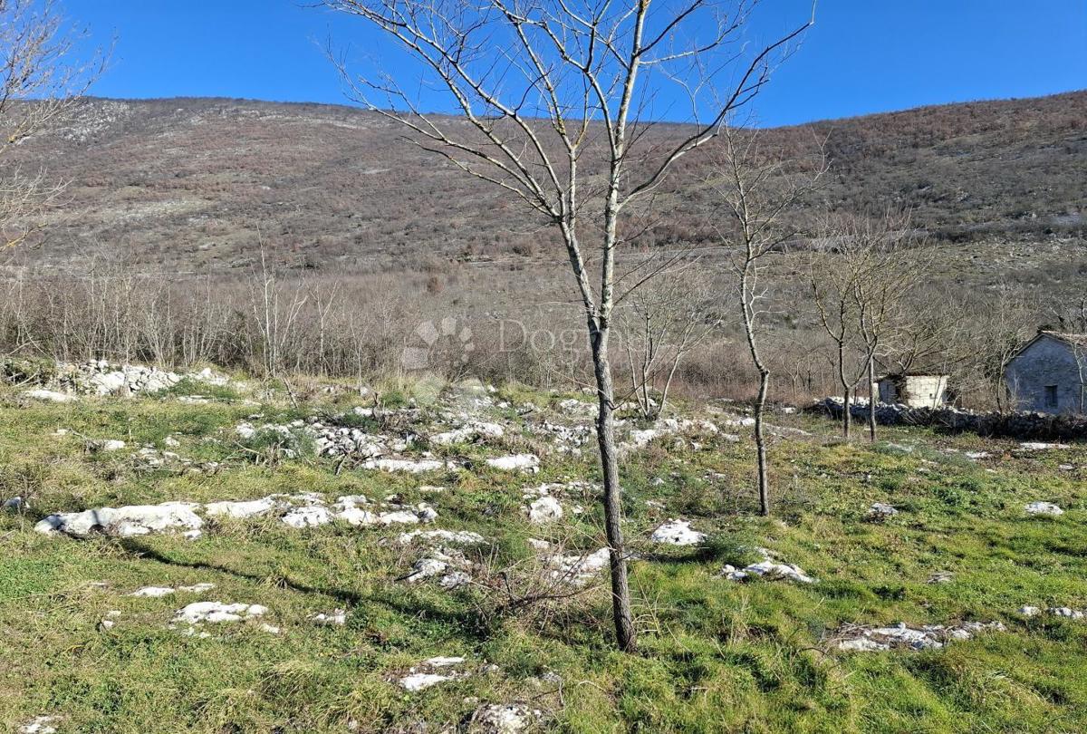 Terreno edificabile in zona isolata vicino a Labin