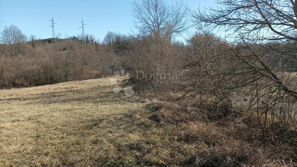 Terreno agricolo Lindar, Pazin - Okolica, 7.573m2