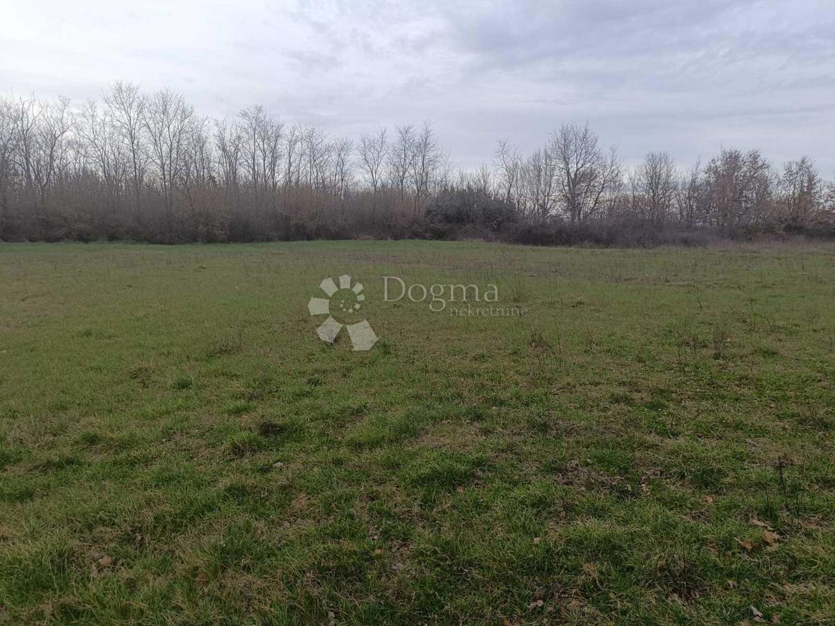 OCCASIONE!! TERRENO PER EDIFICIO RESIDENZIALE -Marčana