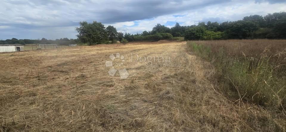 Terreno edificabile Krnica, Marčana, 1.906m2