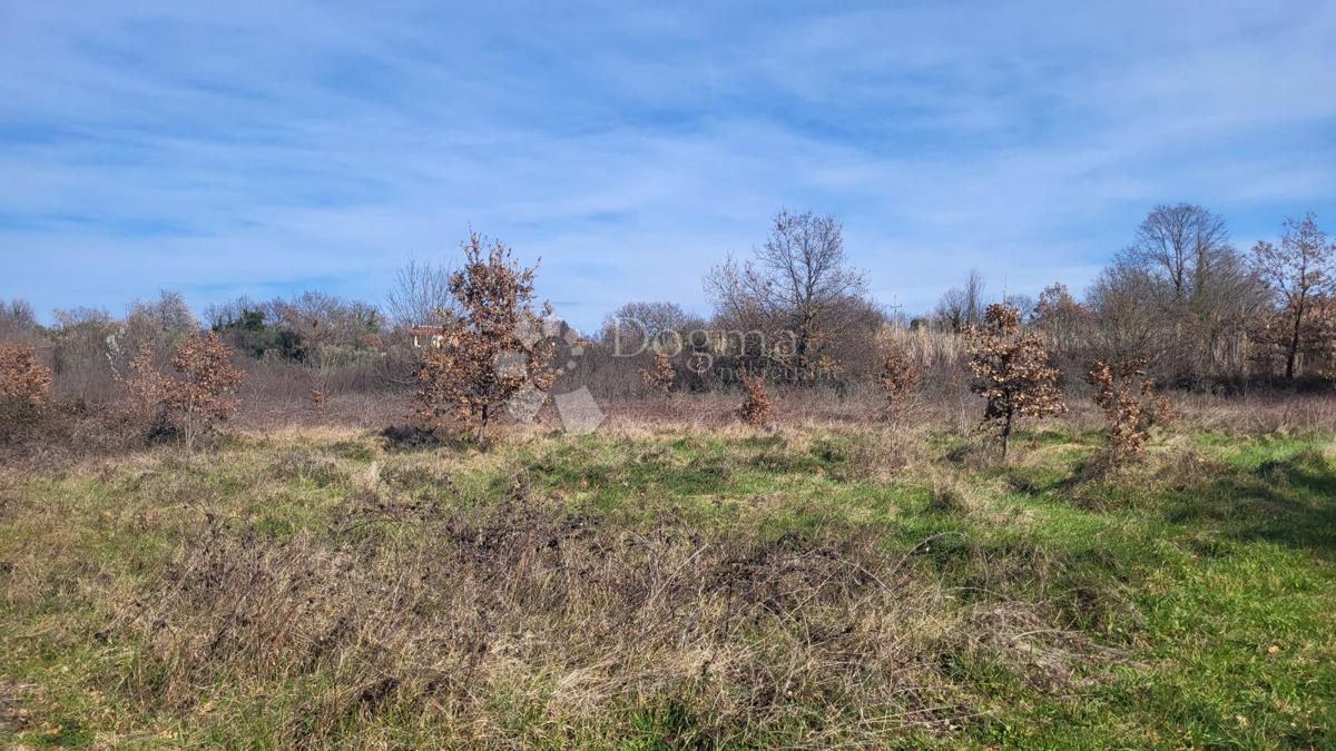 Grande terreno edificabile vicino a Parenzo
