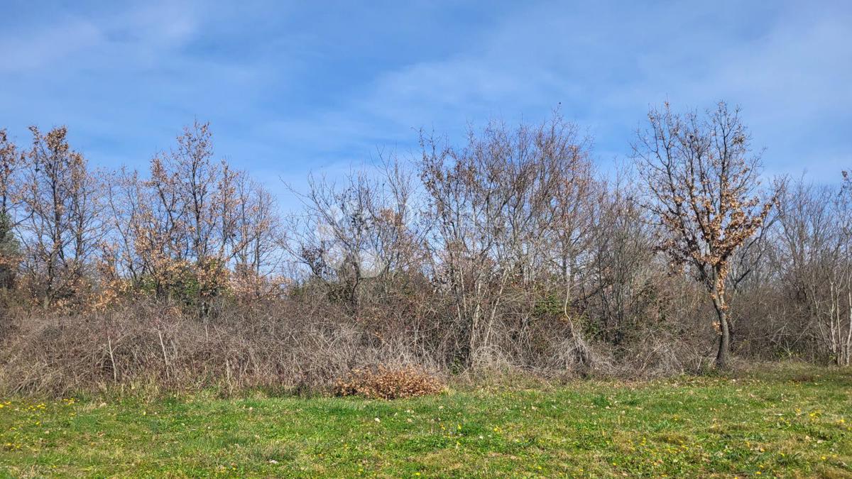 Grande terreno edificabile vicino a Parenzo