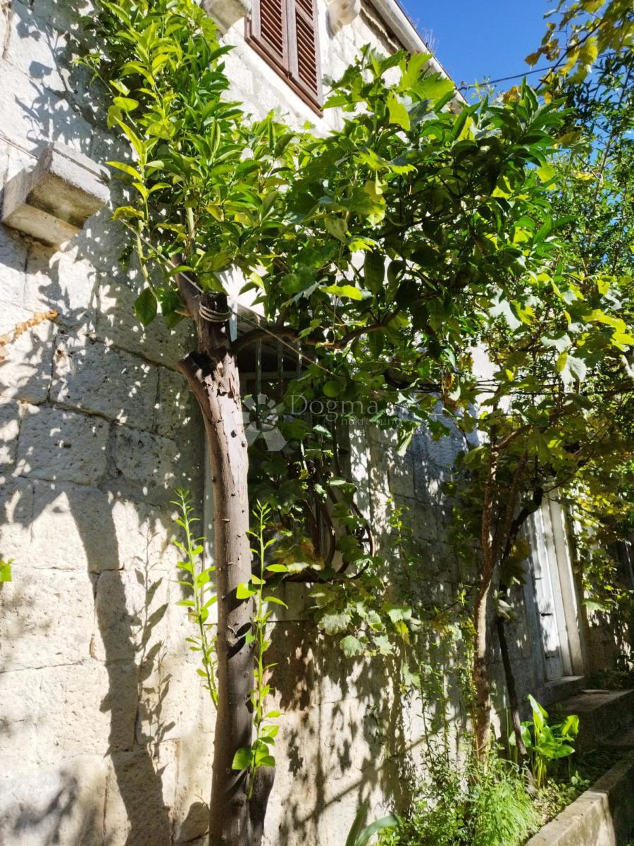 Casa Viganj, Orebić, 60m2