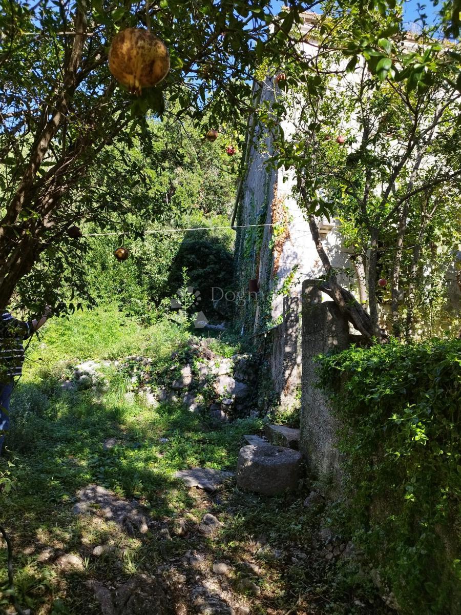 Casa Viganj, Orebić, 60m2