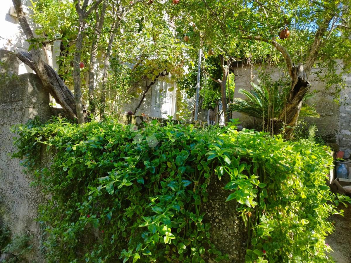 Casa Viganj, Orebić, 60m2