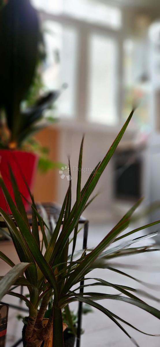 Allogio Centar, Pula, 35m2