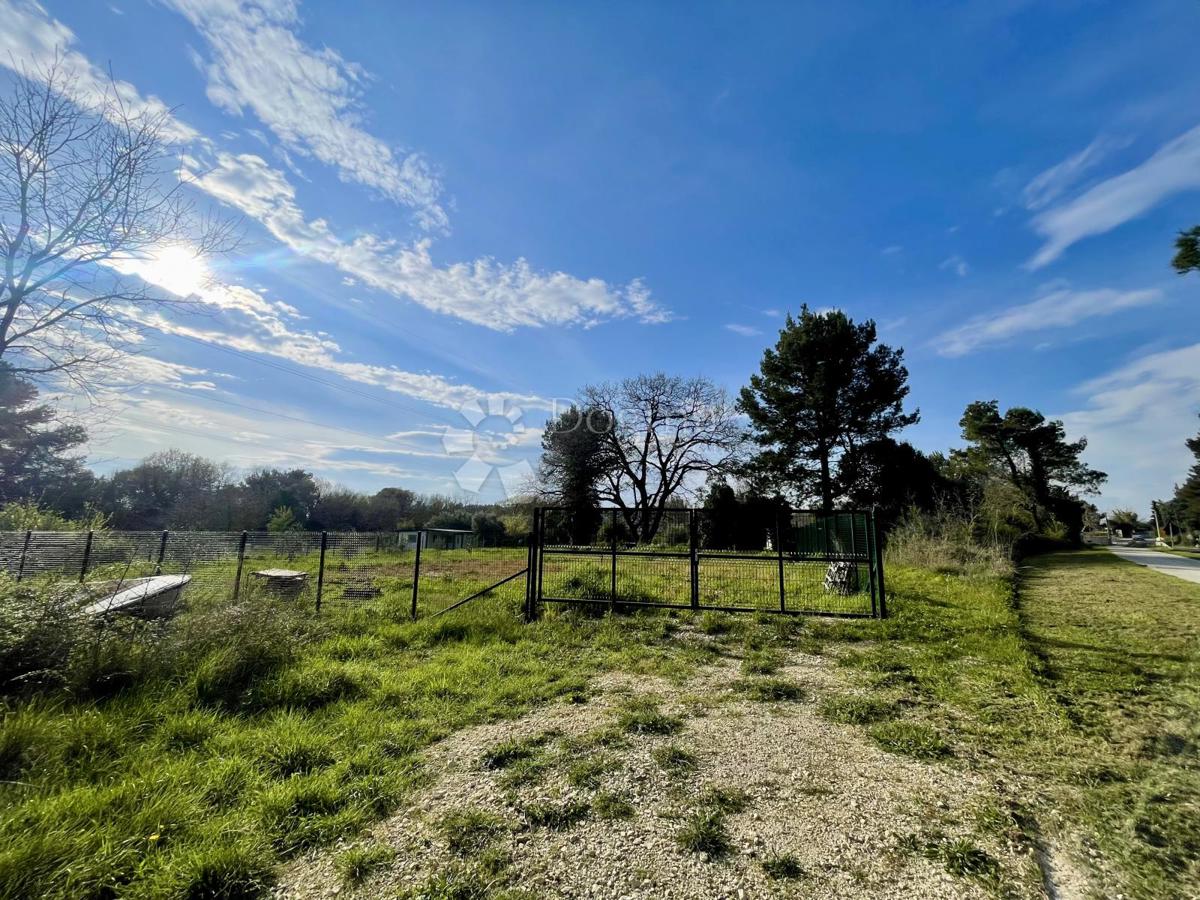 Terreno agricolo con pozzo e allaccio elettrico