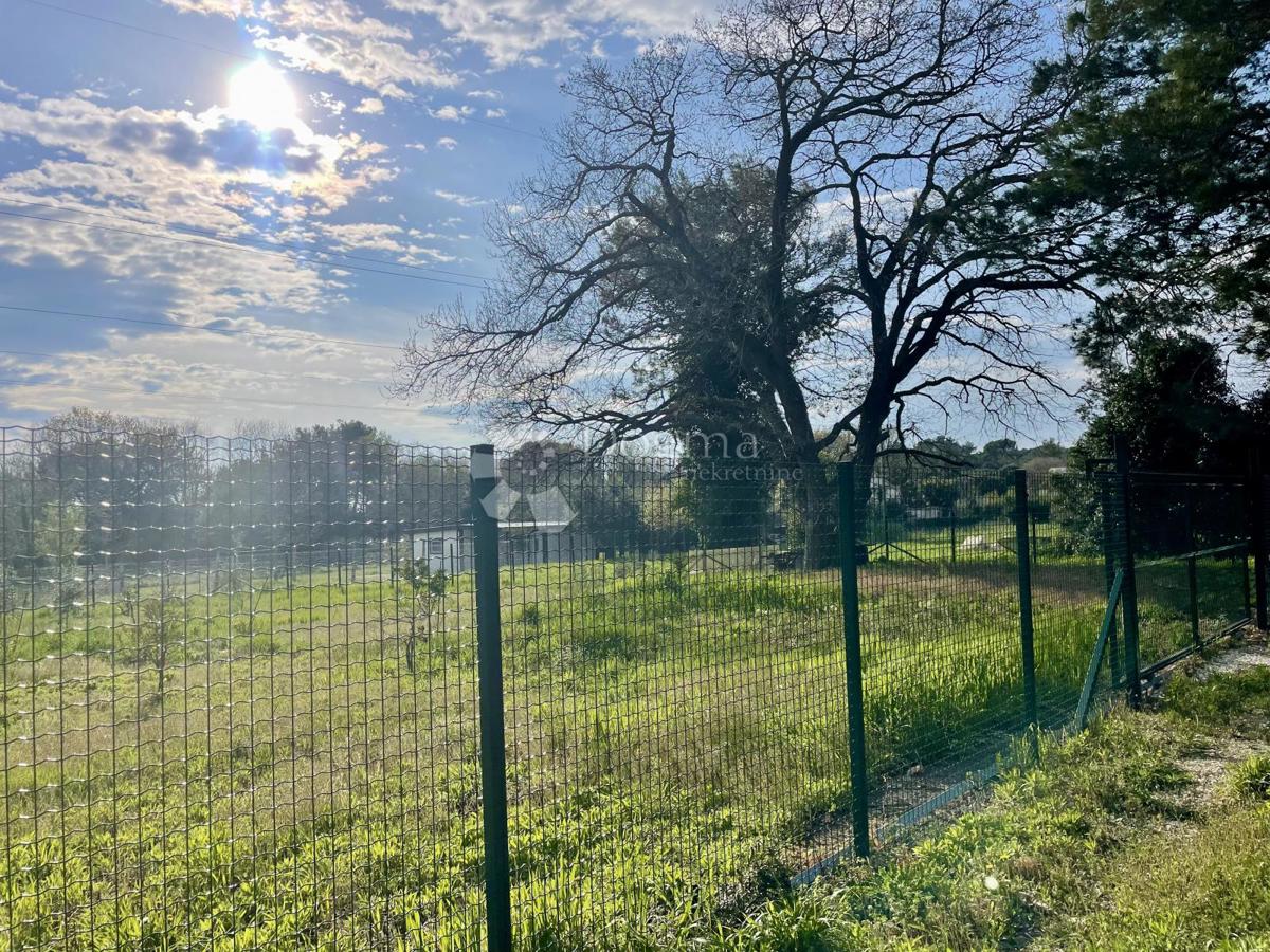 Terreno agricolo con pozzo e allaccio elettrico