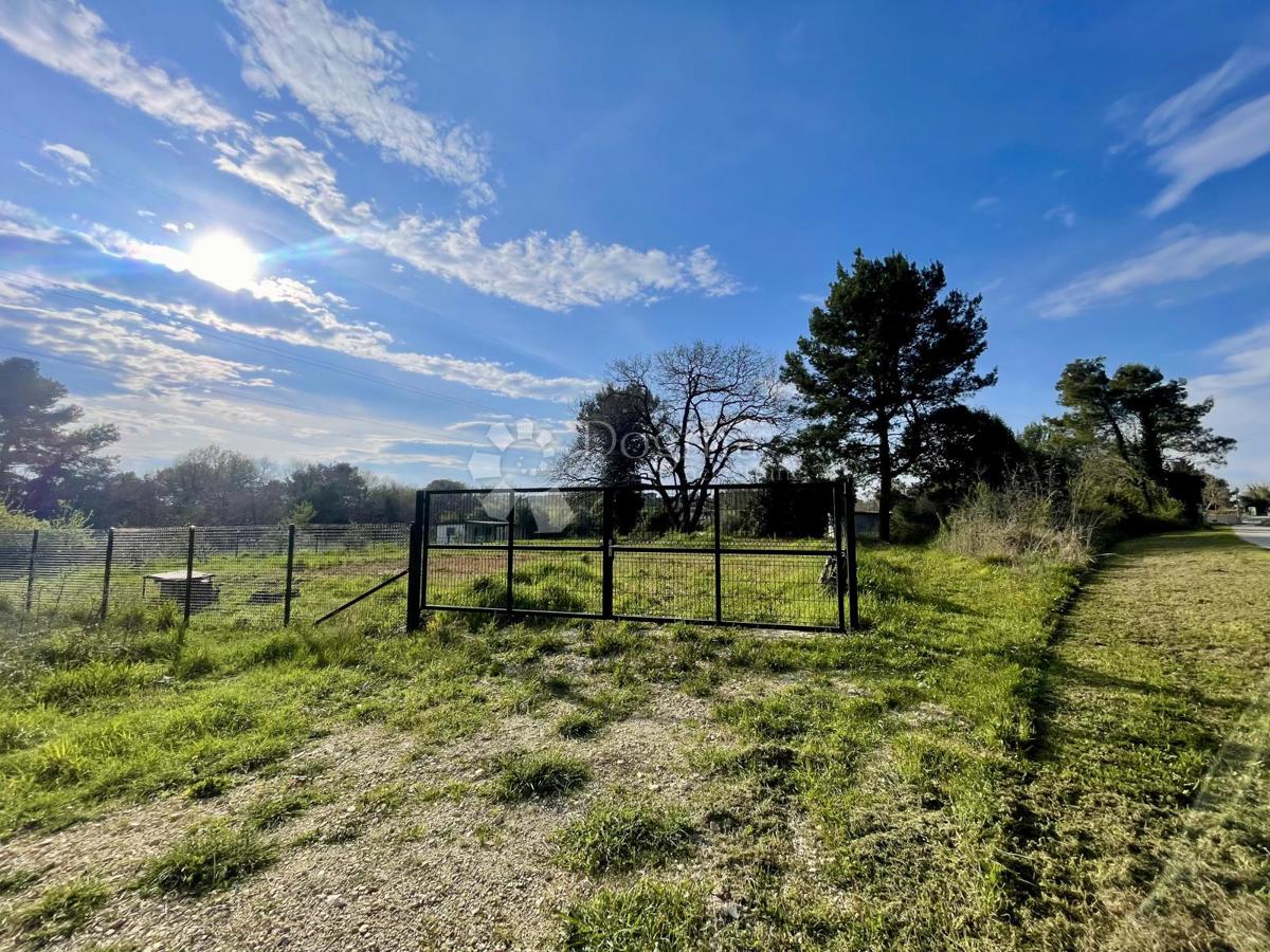 Terreno agricolo con pozzo e allaccio elettrico