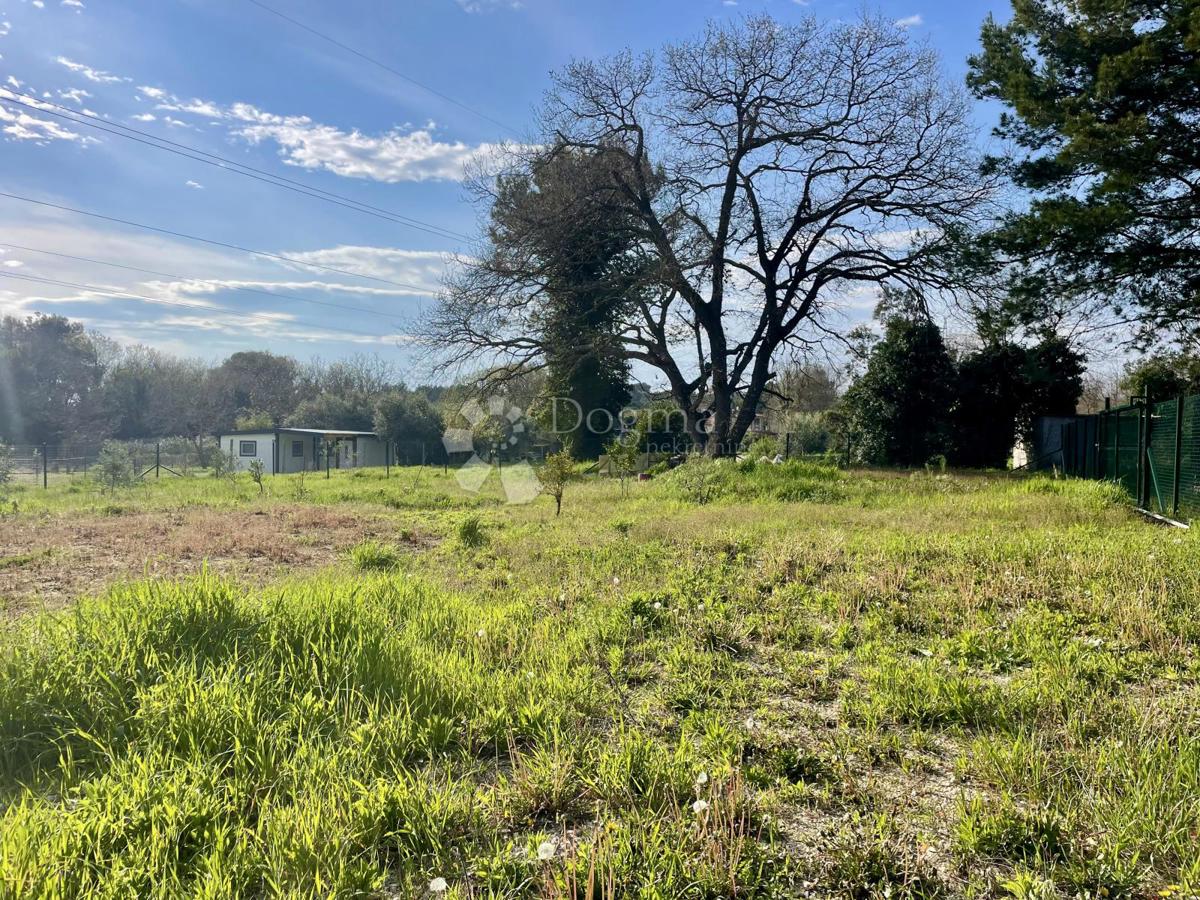 Terreno agricolo con pozzo e allaccio elettrico