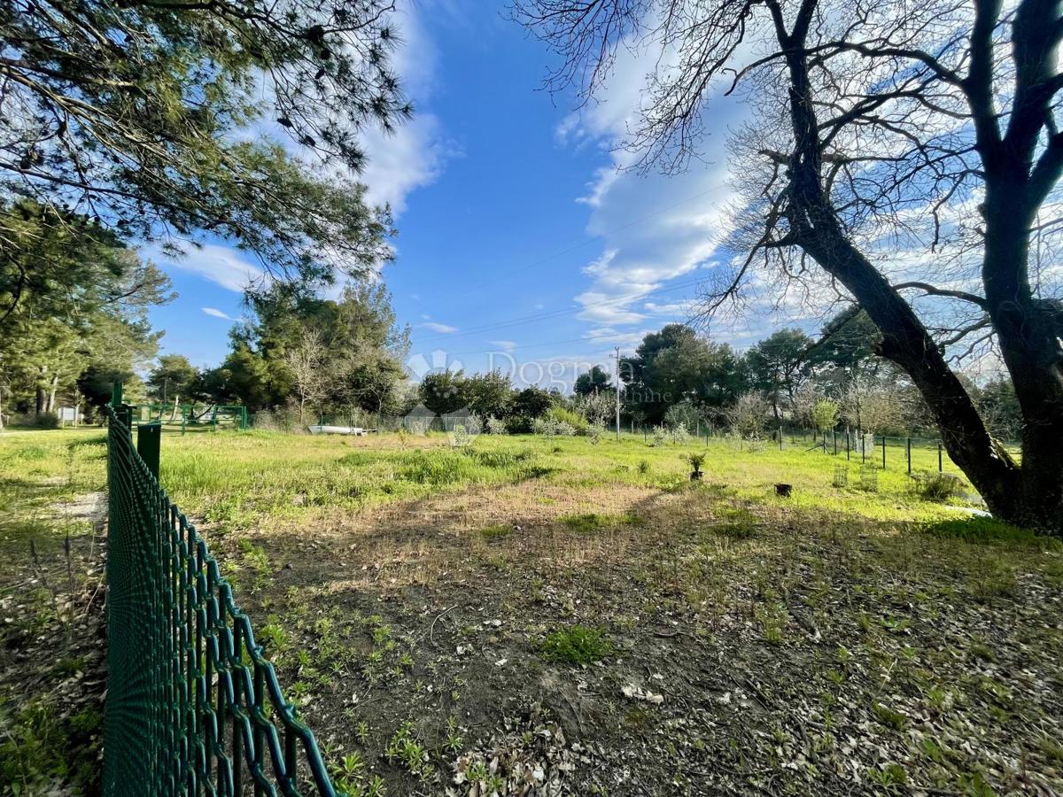 Terreno agricolo con pozzo e allaccio elettrico