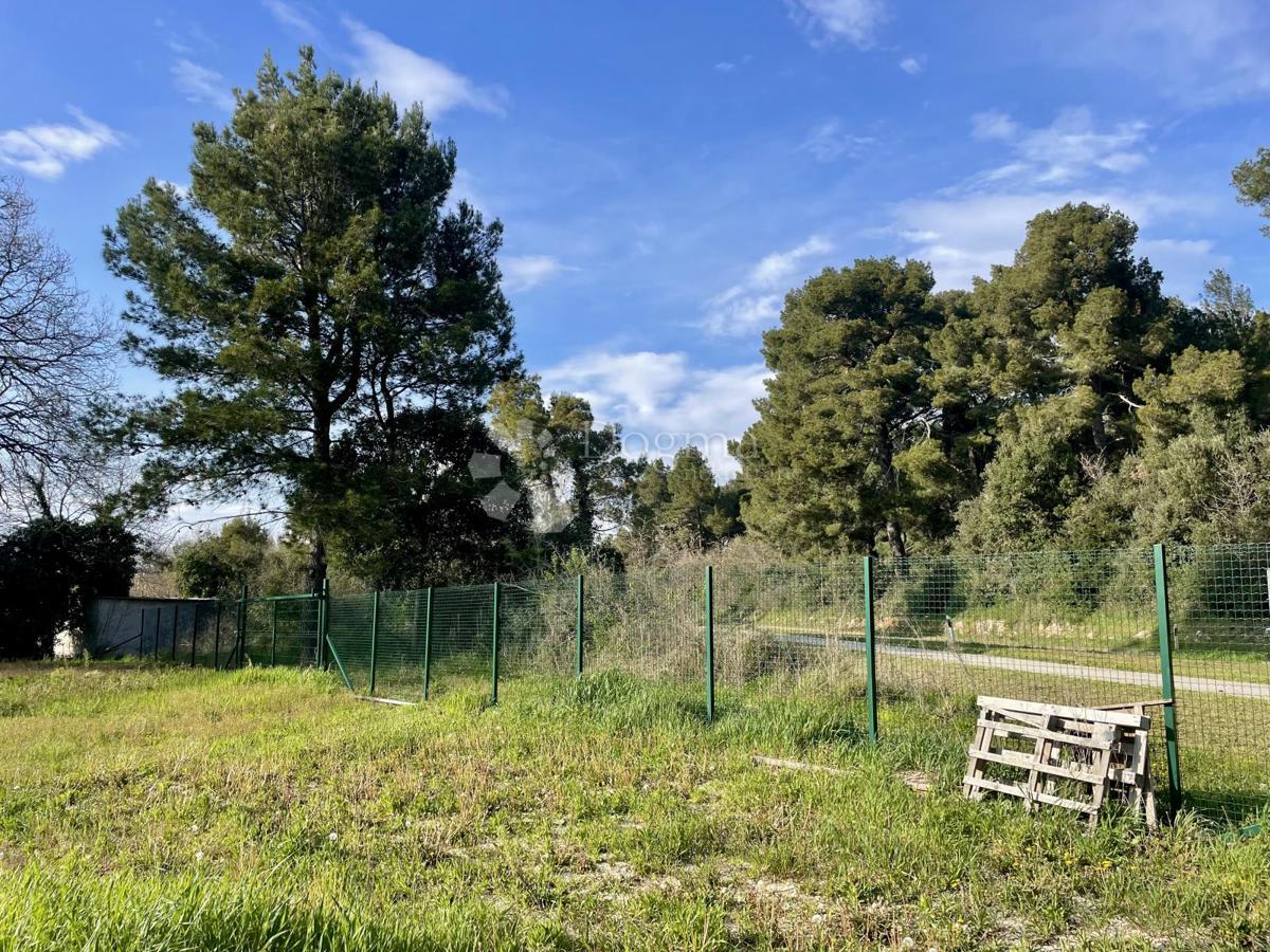 Terreno agricolo con pozzo e allaccio elettrico