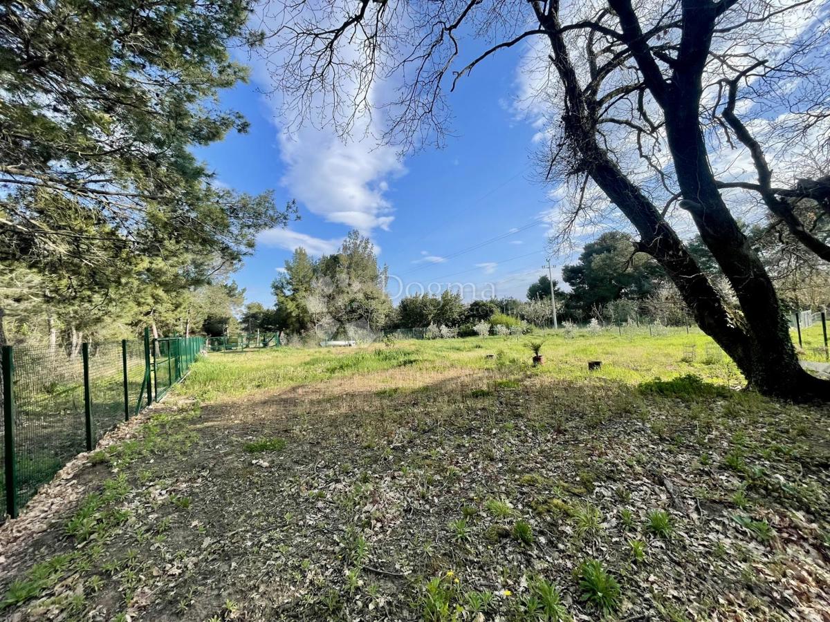Terreno agricolo con pozzo e allaccio elettrico