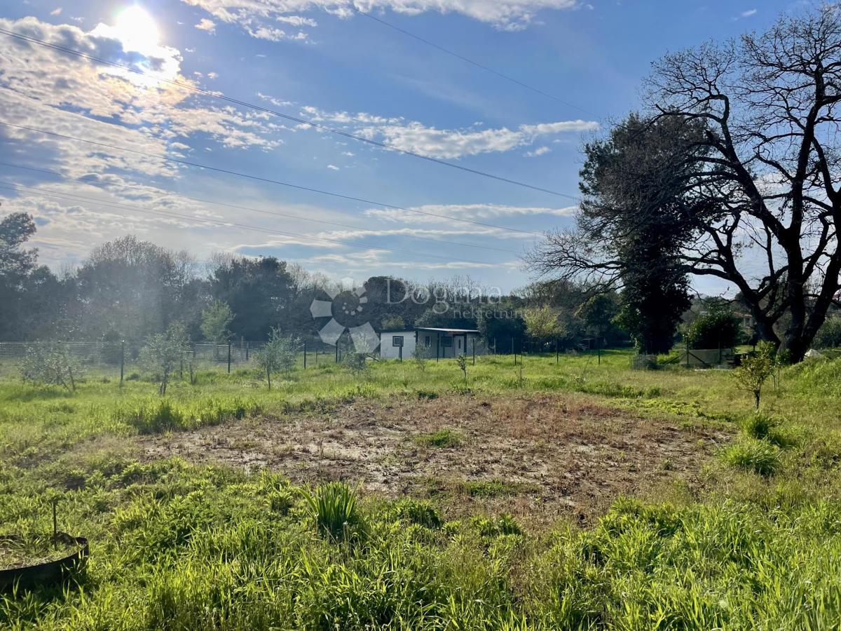 Terreno agricolo con pozzo e allaccio elettrico