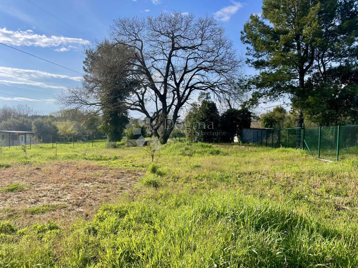 Terreno agricolo con pozzo e allaccio elettrico
