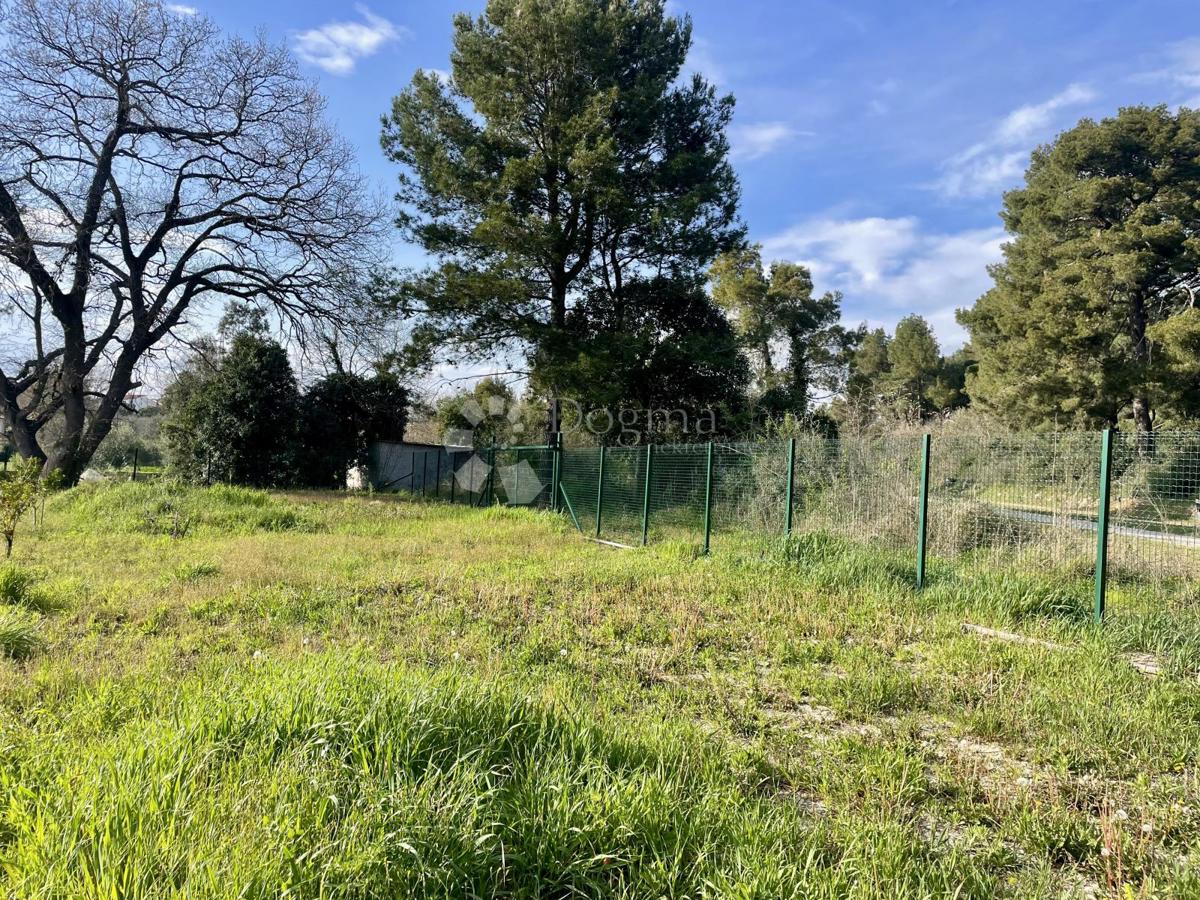 Terreno agricolo con pozzo e allaccio elettrico