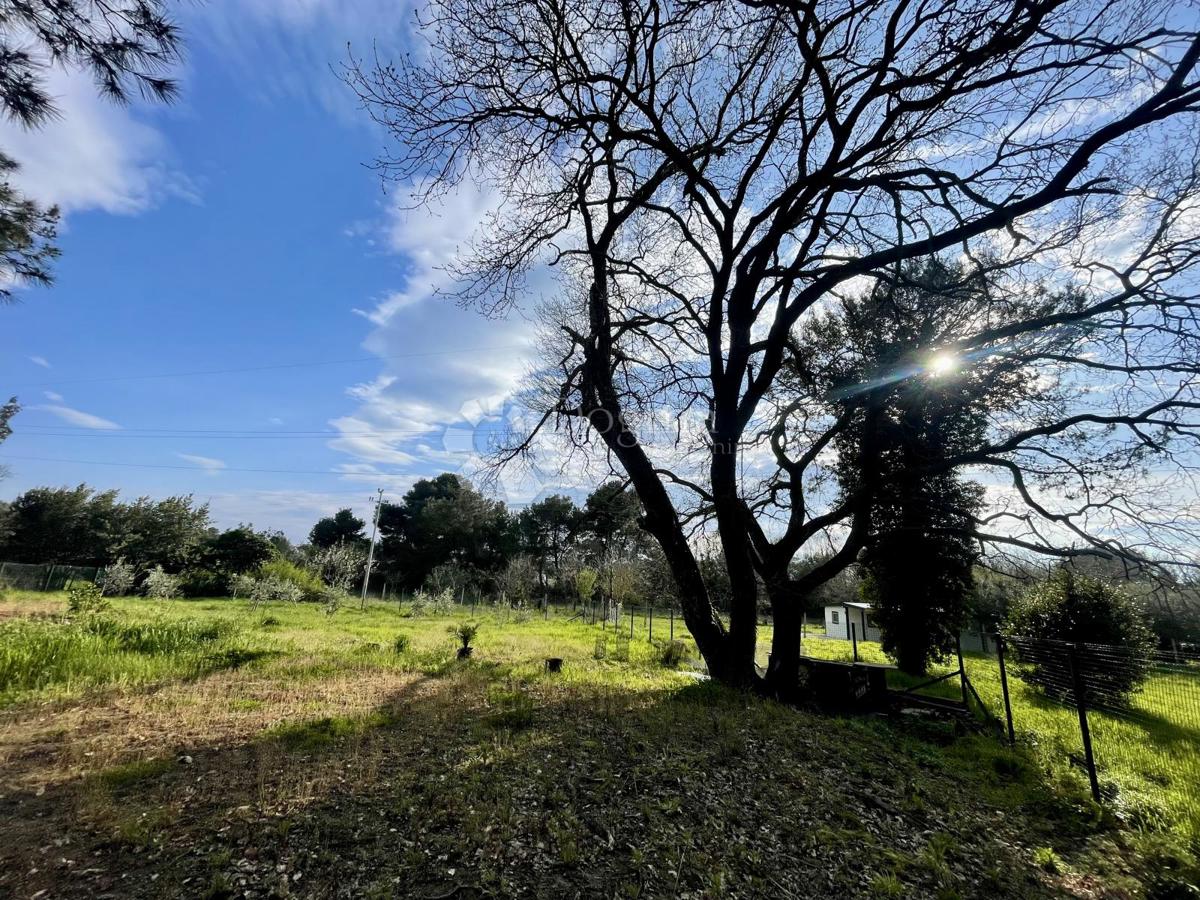 Terreno agricolo con pozzo e allaccio elettrico