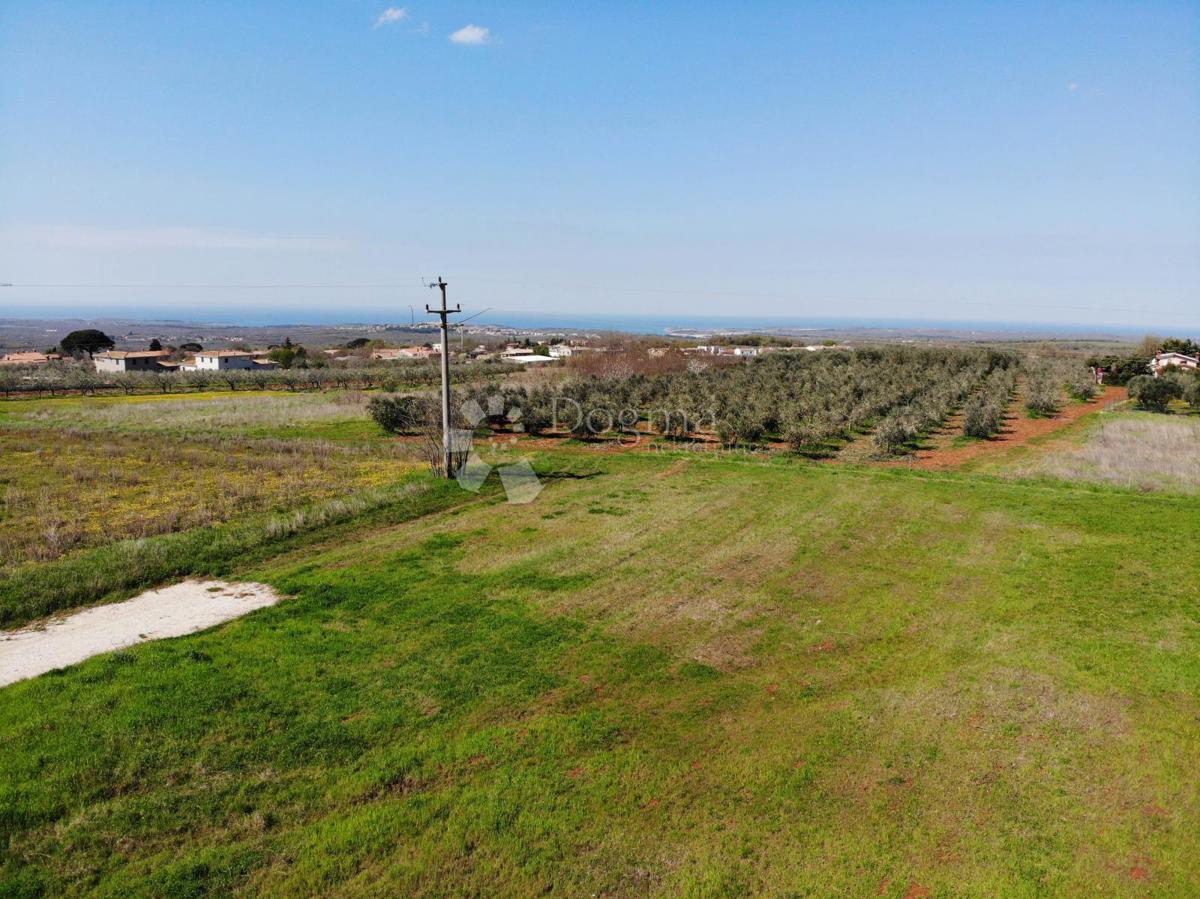 Terreno edificabile Poreč, 1.157m2