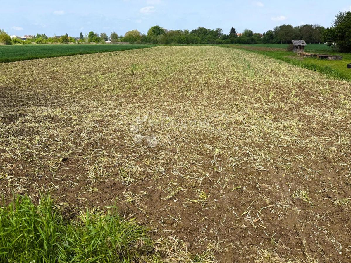 Terreno agricolo Miklinovec, Koprivnica, 5.597m2