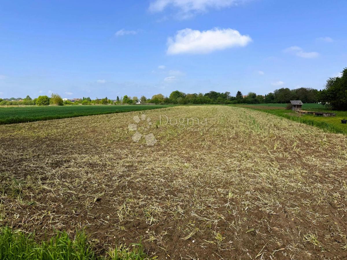 Terreno agricolo Miklinovec, Koprivnica, 5.597m2