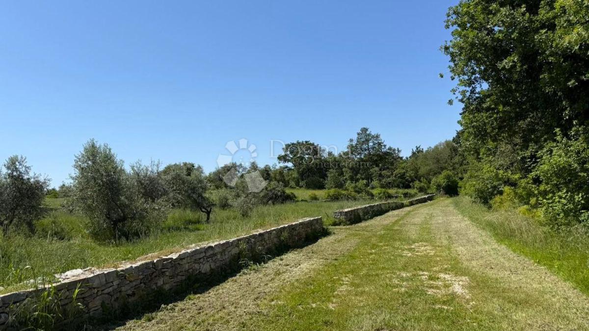 Terreno agricolo Umag, 10.292m2