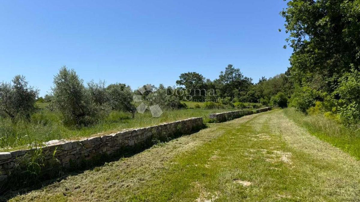 Terreno agricolo Umag, 10.292m2