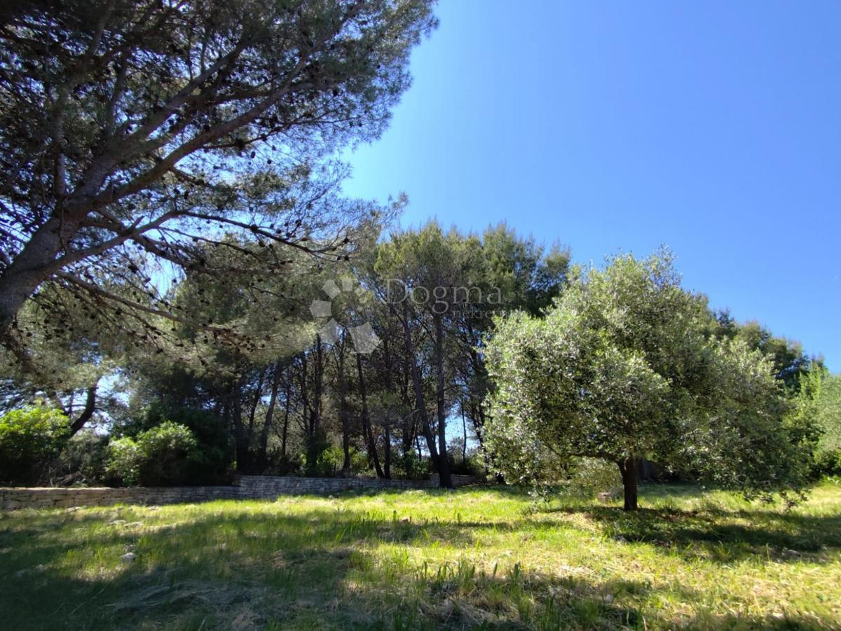 Terreno agricolo Pomer, Medulin, 1.480m2
