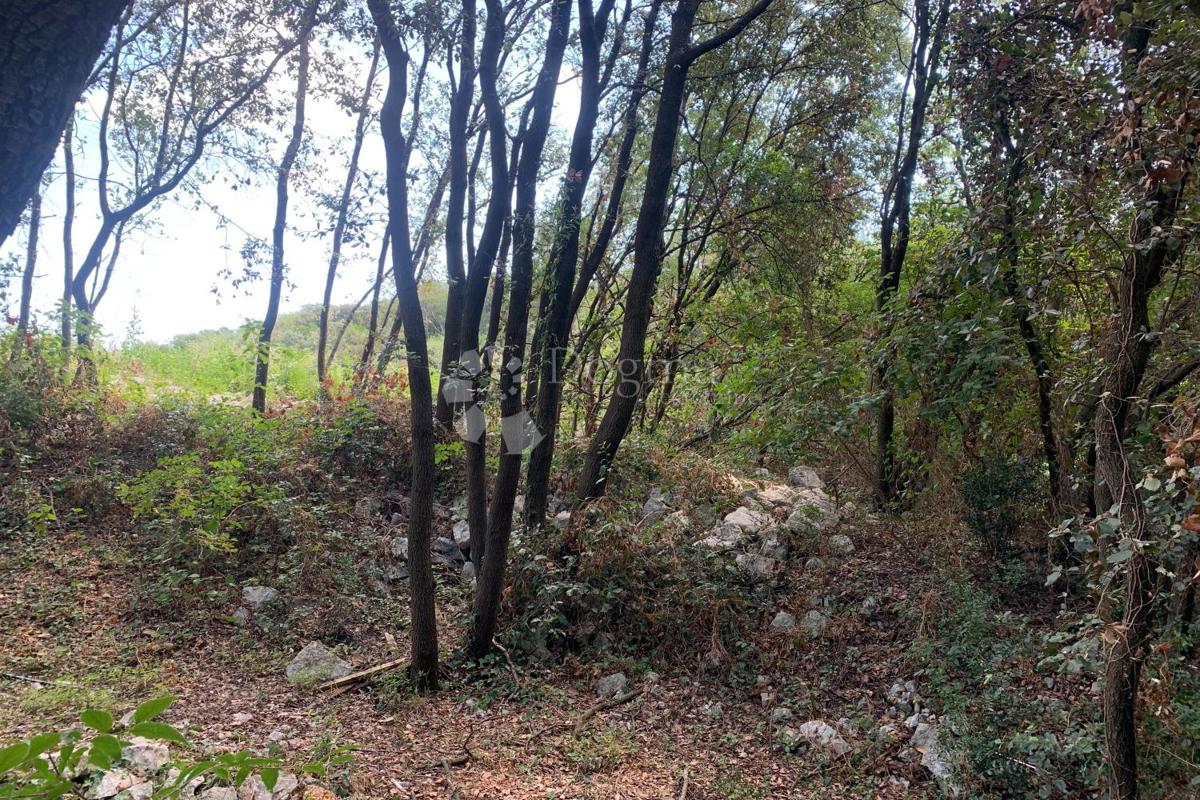 Terreno Rovinj, 13.208m2