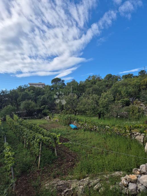 Terreno edificabile soleggiato con parco giochi e potenziale di lusso – 1.151 m²