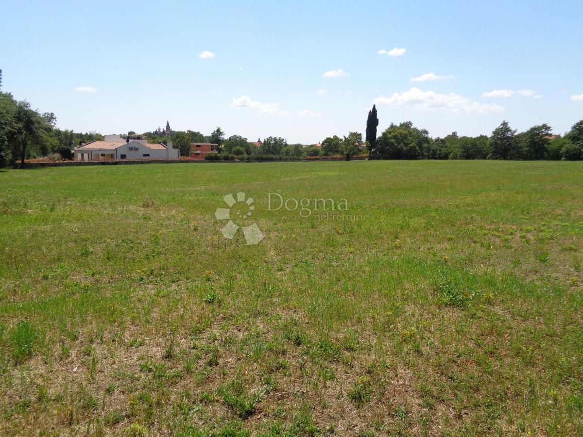 TENUTA DI 20.000 m2 CON AMPIO TERRENO EDIFICABILE