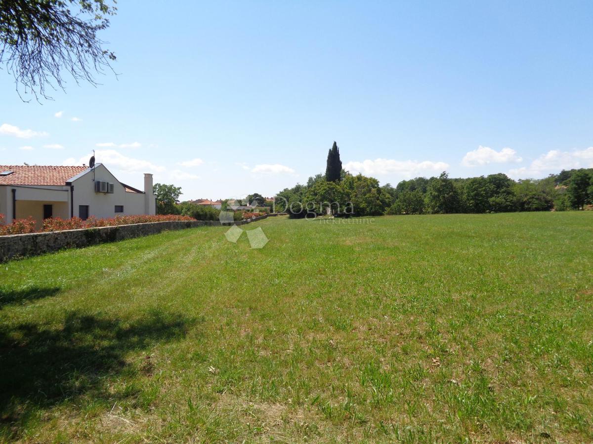 TENUTA DI 20.000 m2 CON AMPIO TERRENO EDIFICABILE