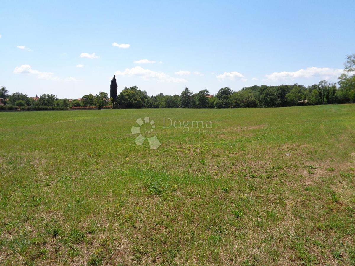 TENUTA DI 20.000 m2 CON AMPIO TERRENO EDIFICABILE