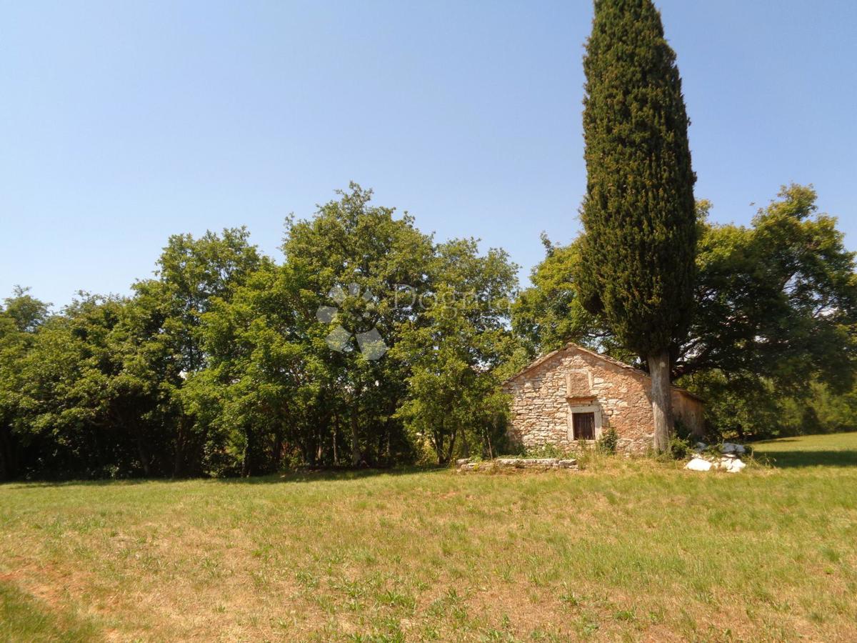 TENUTA DI 20.000 m2 CON AMPIO TERRENO EDIFICABILE