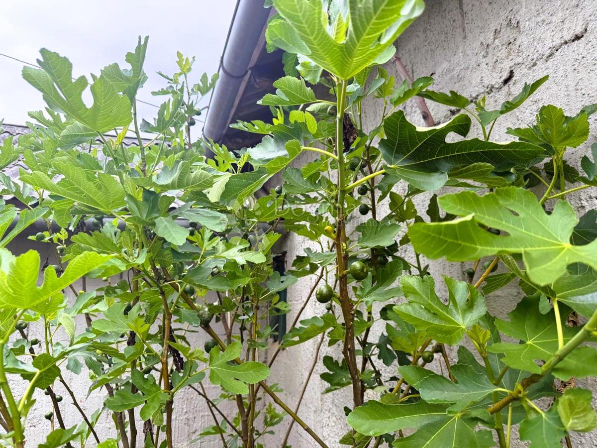 Casa Gradiščak, Sveti Martin Na Muri, 67m2