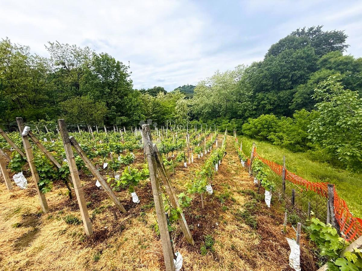 Casa Gradiščak, Sveti Martin Na Muri, 67m2