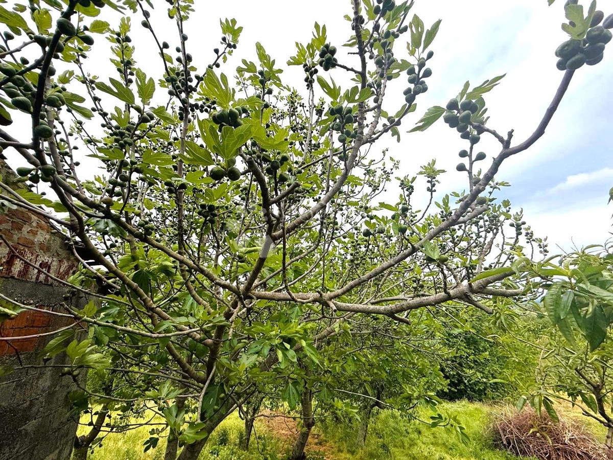 Casa Gradiščak, Sveti Martin Na Muri, 67m2