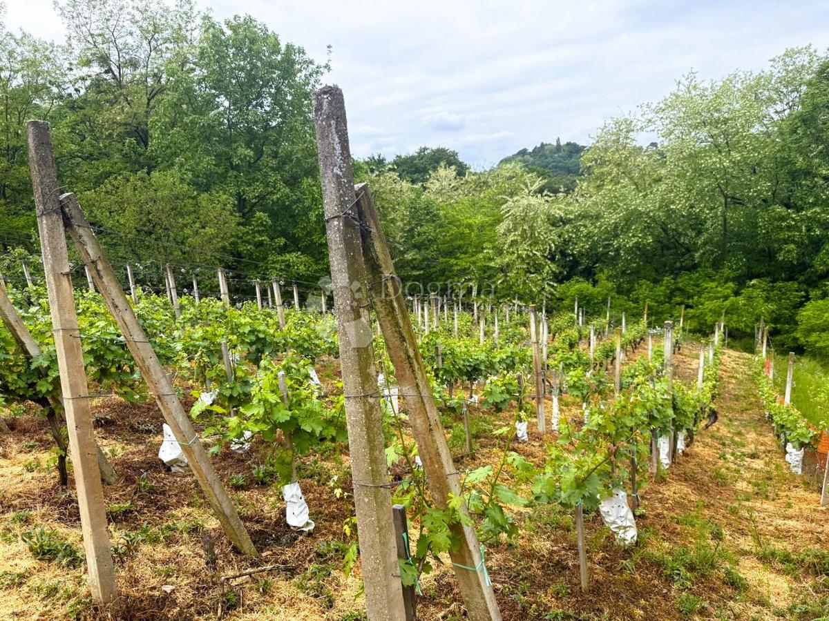 Casa Gradiščak, Sveti Martin Na Muri, 67m2
