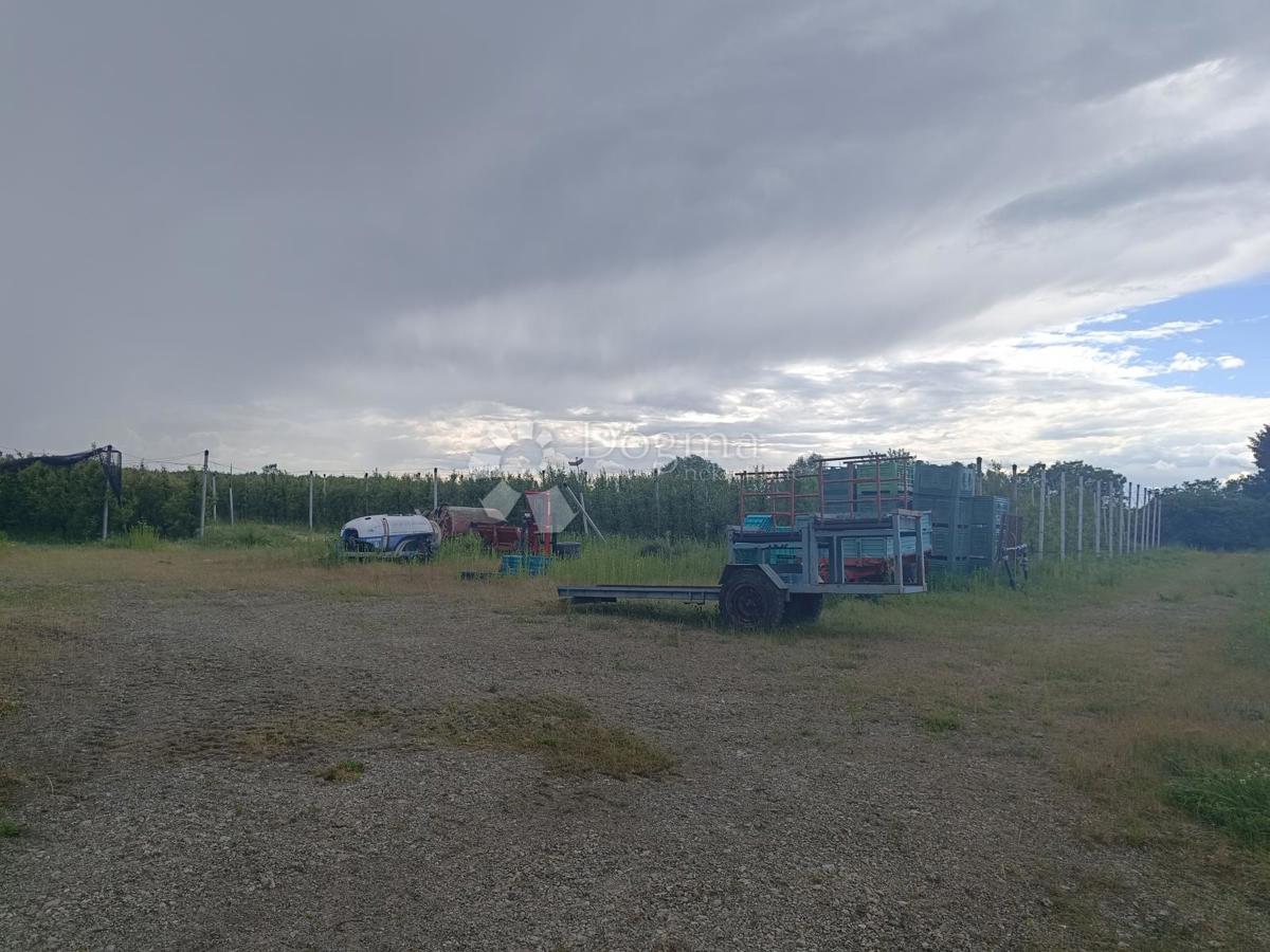 Terreno agricolo Petrijevci, 68.580m2