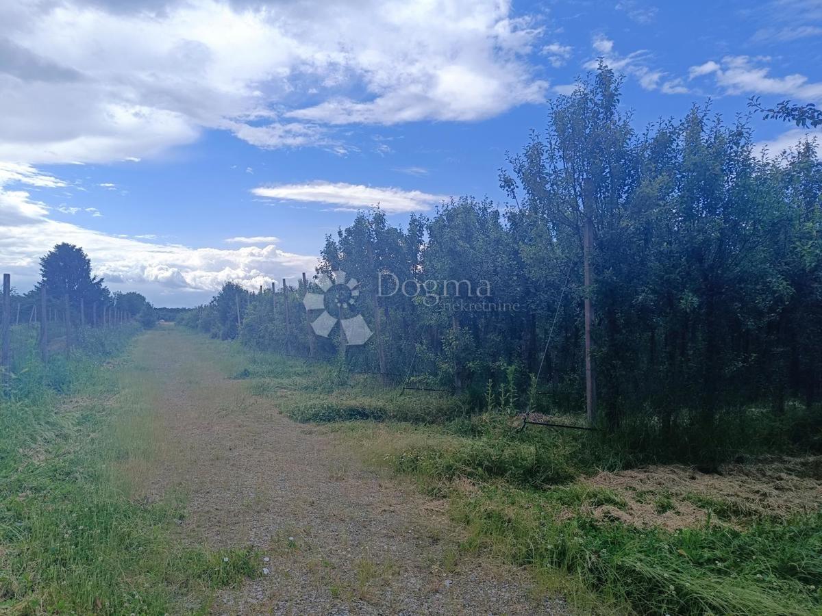 Terreno agricolo Petrijevci, 68.580m2