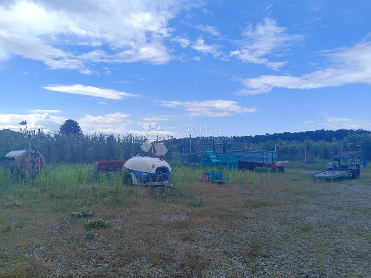 Terreno agricolo Petrijevci, 68.580m2