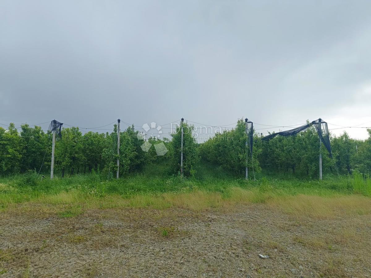 Terreno agricolo Petrijevci, 68.580m2