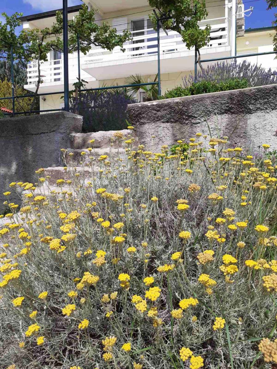 Casa Klenovica, Novi Vinodolski, 150m2