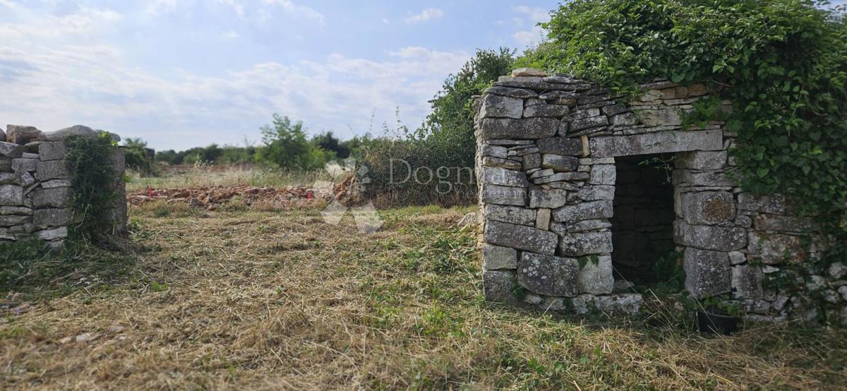 Terreno edificabile Vodnjan, 1.061m2